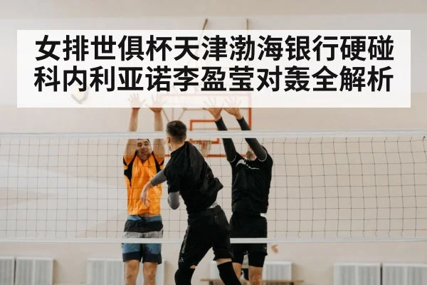volleyball net block
