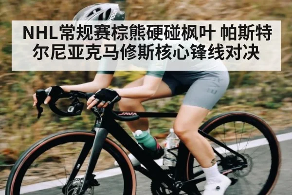 NHL常规赛棕熊硬碰枫叶 帕斯特尔尼亚克马修斯核心锋线对决
