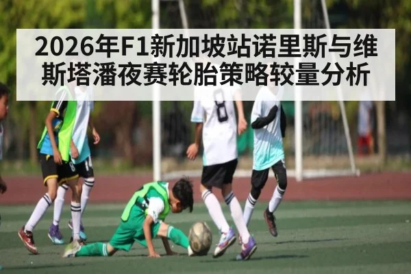2026年F1新加坡站诺里斯与维斯塔潘夜赛轮胎策略较量分析